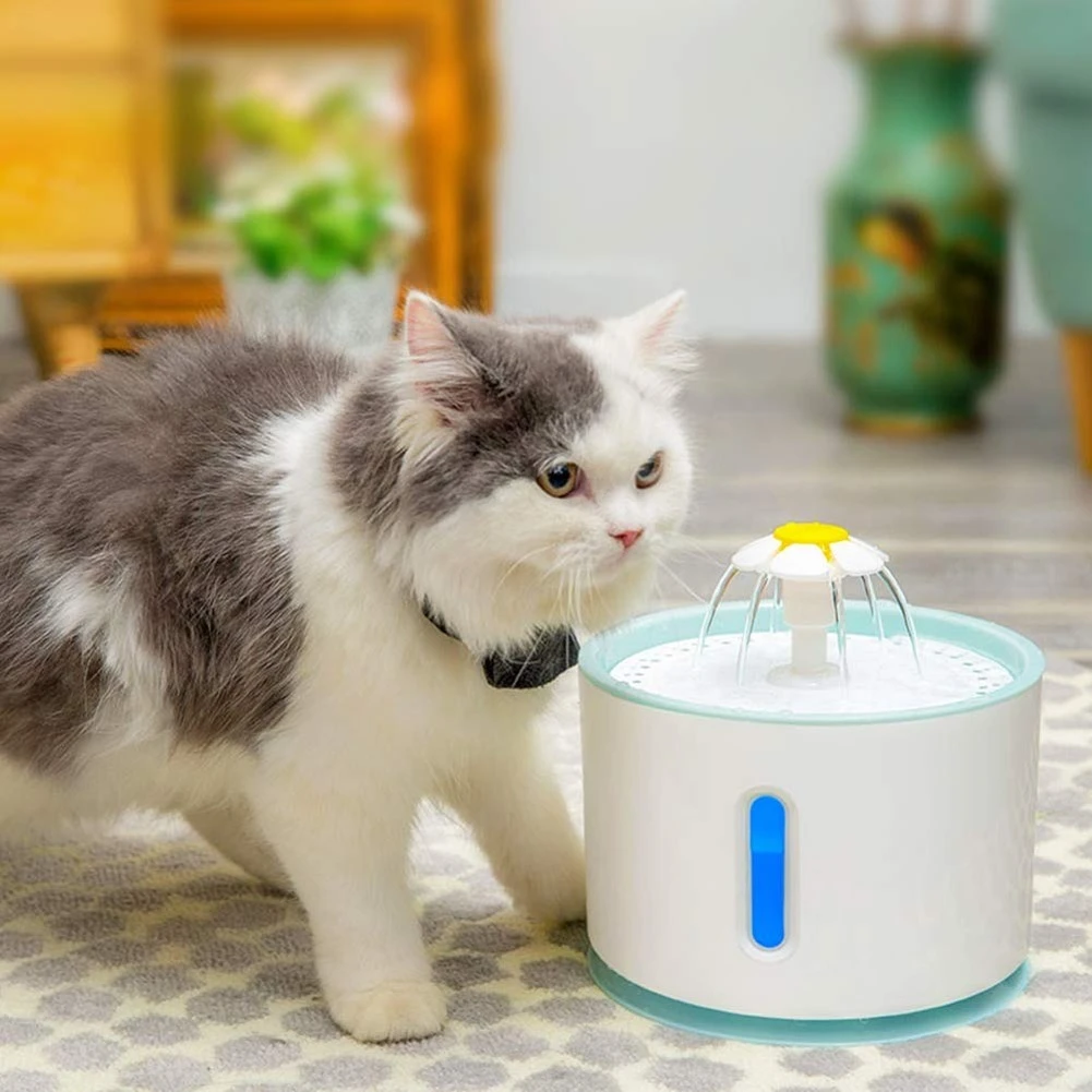 automatic drinking fountain for cats