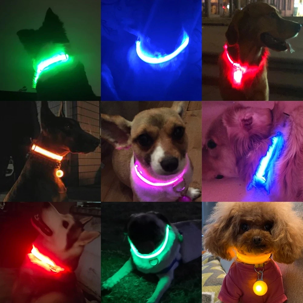 

USB Charging Led Dog Collar Anti-Lost/Avoid Car Accident Collar For Dogs Puppies Dog Collars Leads LED Supplies Pet Products