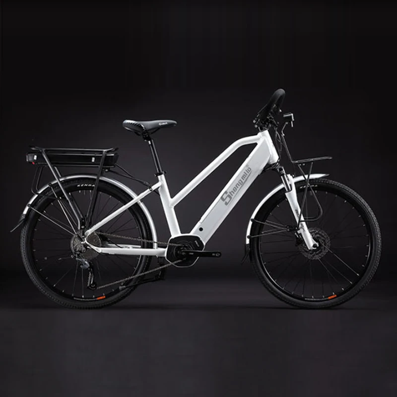 26-дюймовый электрический дорожные велосипедные 36v250w центр двигателя 9SP Электрический вспомогательное Велосипедное двойной литиевая батарея дальность 300 км