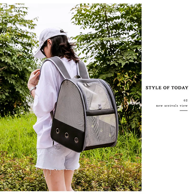 11647385176_299322169