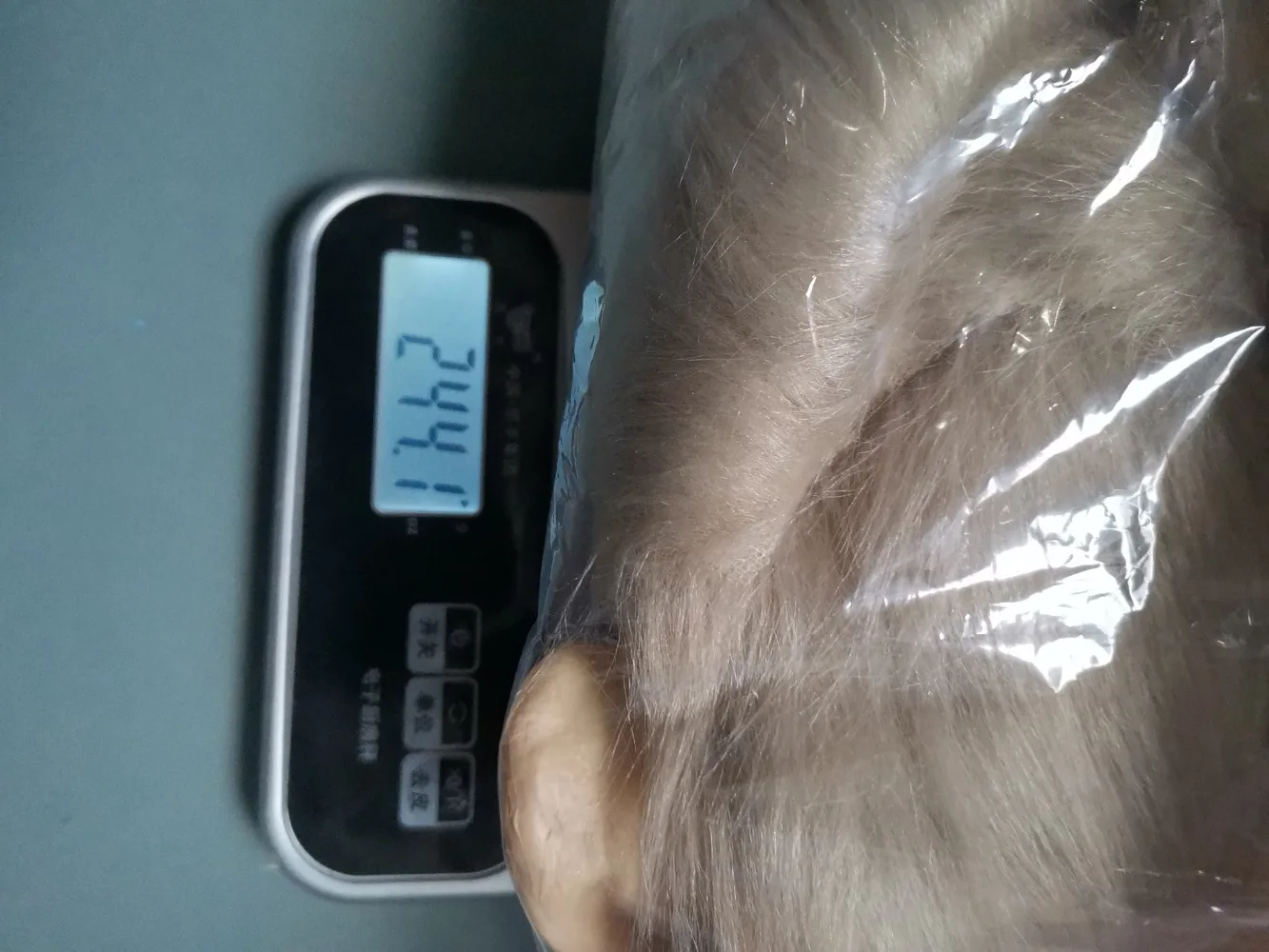 70l6g31yq6zwv9ecvo8m4xpnk_0