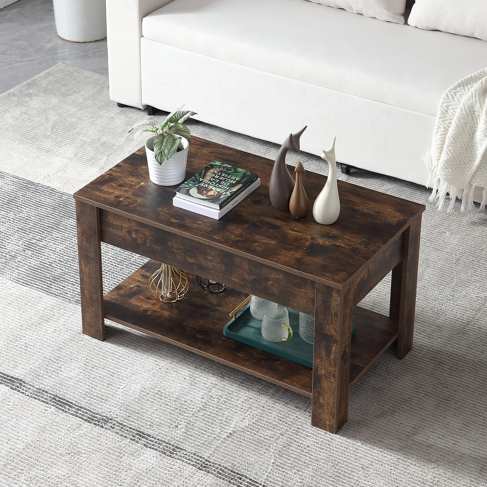 H4866a969156e4df5925fbf57dfb8cdeaj Small Modern Coffee Tables with Storage for Living Room Wood Lift Top Center Table Farmhouse Mallzona