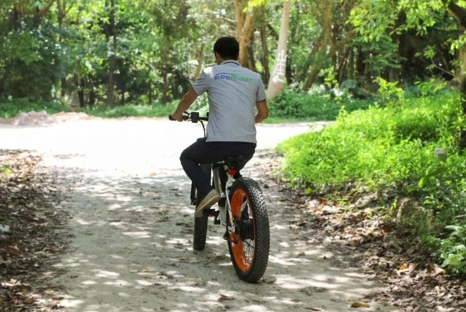 bike Ecorider Chinese E6-5 fat snow E6-5 26 inch e bike electric bicycle with lithium battery