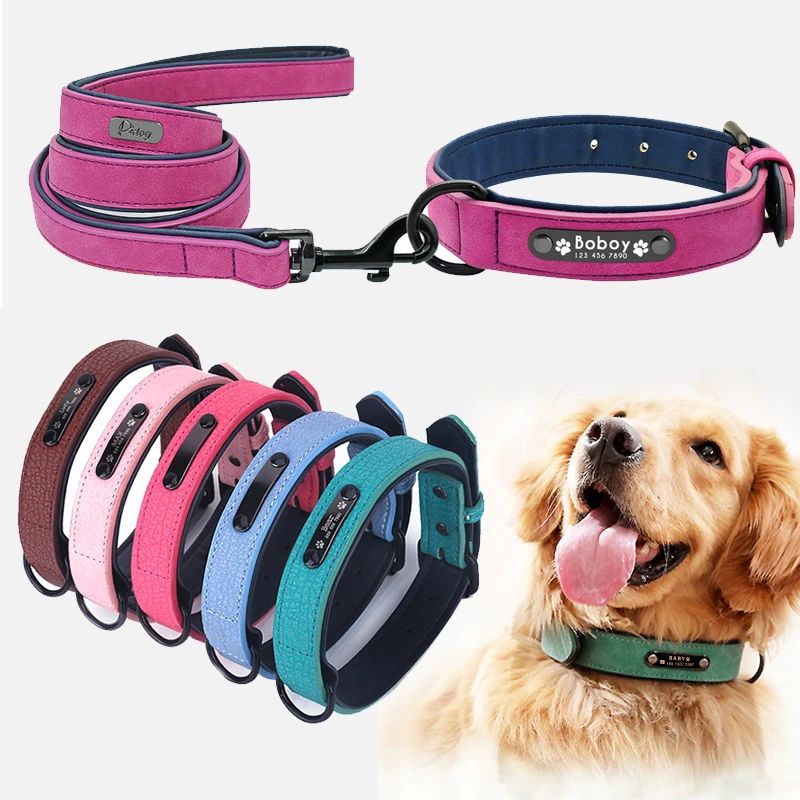 pitbull puppy accessories