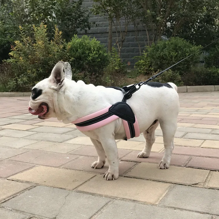 

Popular pet dog vest chest strap safety walking dog training traction rope dog collars dog harness dog leash