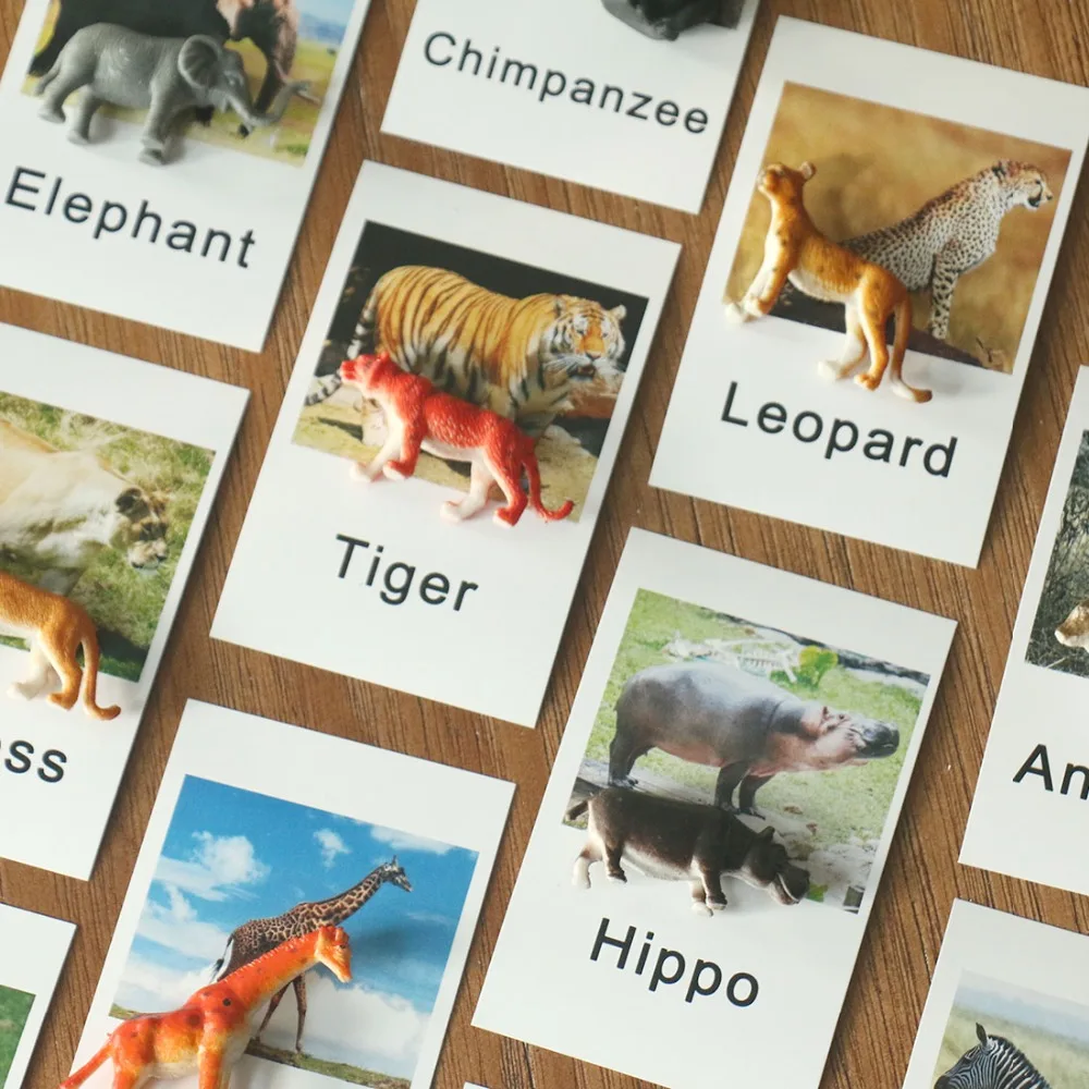 

Baby Montessori Animal Match Cards Cognition Puzzles Educational Toys Preschool Toddler Languag Learning Cards Matching Game