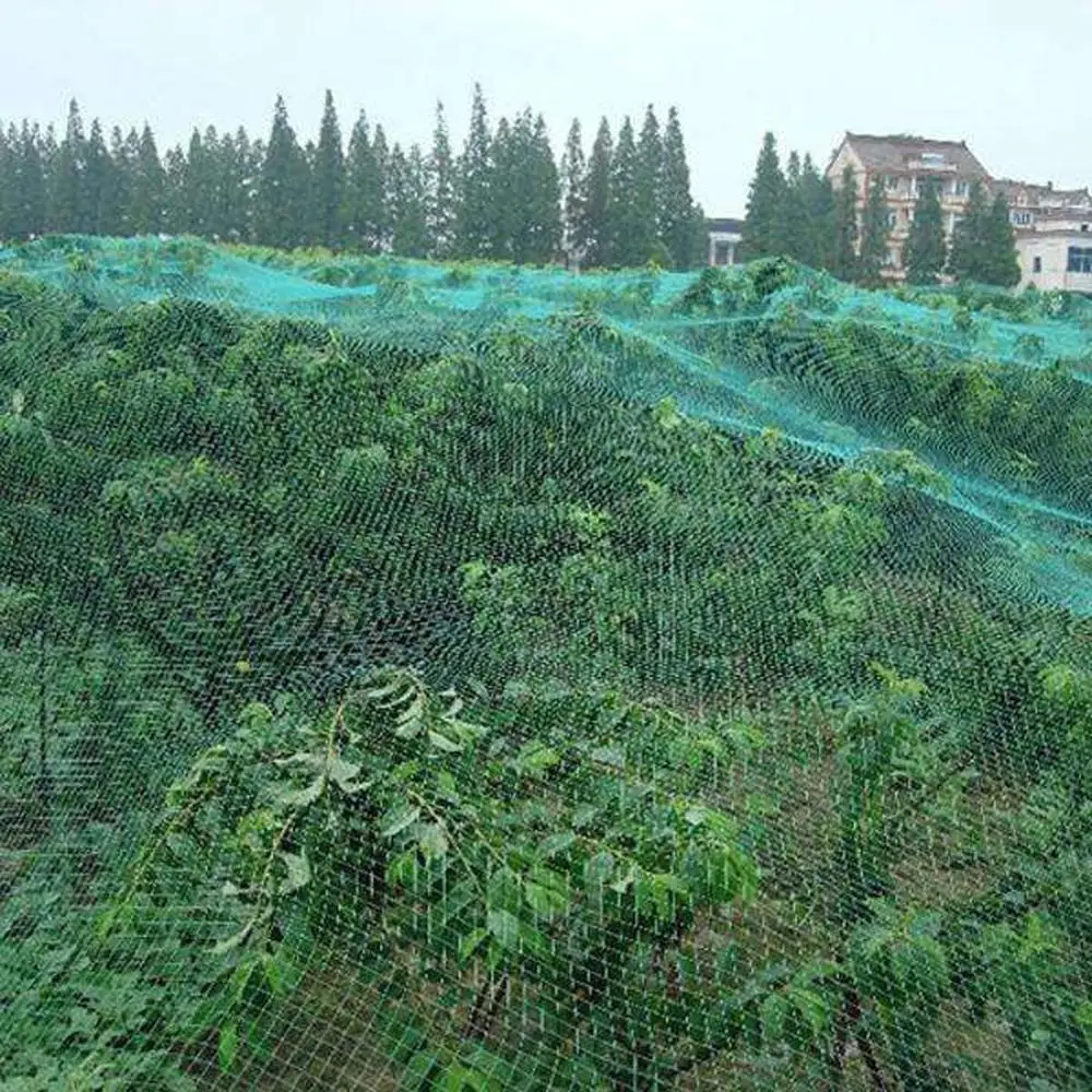 Green Anti Bird Netting Garden Plant Mesh Durable Protect Plants and Fruit Trees Stops Birds Deer Poultry Best Stretch Fencing
