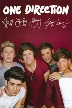 

More Style Choose ONE DIRECTION Art Print Silk Poster for Your Home Wall Decor 24x36inch