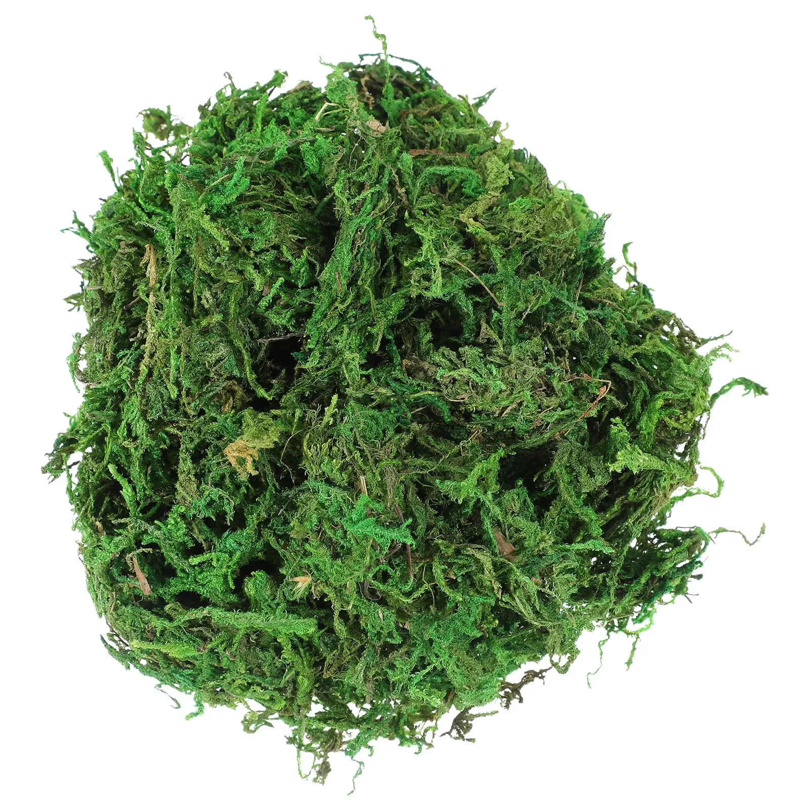 VOSAREA 3 Packs Natural Dried Moss Decorative Lichen Plants for Home Garden Patio Decoration | Дом и сад