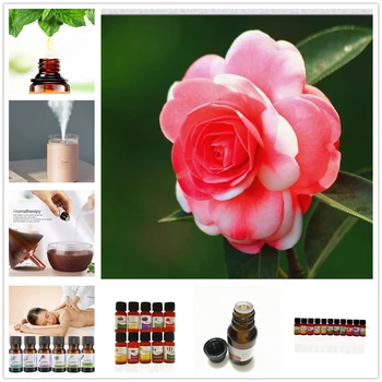 

1pcs Essential Oil for Diffuser Aromatherapy Oil Humidifier Cymbidium Fragrance Aromatherapy Oil Natural Spa Oil Makeup 10ML