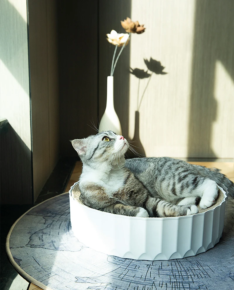 17450242623_1825092455