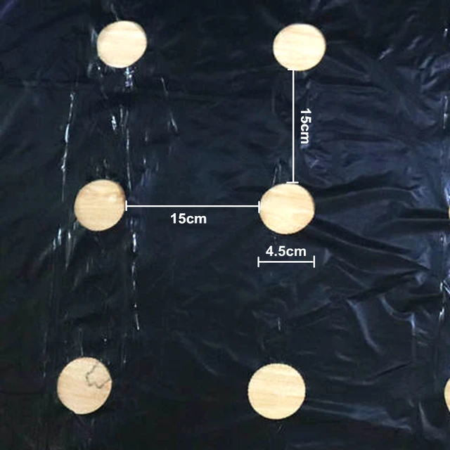10M Fekete 5 Lyukú Talajtakaró Pe Plastic Mulch 0,02 Mm Mezőgazdasági Növények Cover Film Frost Protection Tartson Meleg Gyomvezérlés - Image 3