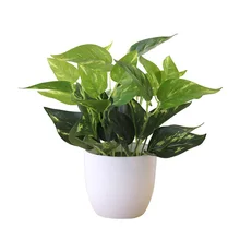 

Simulation Green Plant Pot Artificial Green Dill Persian Leaves Plants Bonsai Home Desktop Decoration Potted Plants Bonsai