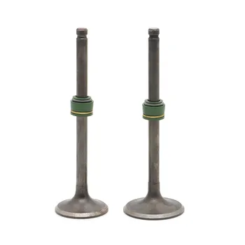 

2X For Suzuki GN125 GZ125 GS125 DR125 Valve Set Intake Exhaust Valve Engine Valve Cylinder Valve