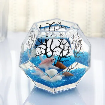 

Polyhedron Mini Aquarium Including Ornaments Thickened Glass Fish Tank Creative Table Tropical Fish Tank Transparent Fish Box