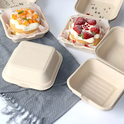 Disposable Bento Box Packaging  Packaging Lunch Box Disposable - 50pcs  Eco-friendly - Aliexpress