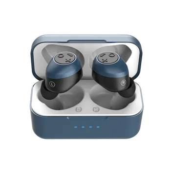 

Active Noise Cancelling True Wireless Earbuds ANC TWS bluetooth 5.0 in-Ear Earphones Type-C Fast charging Charging box for Sport