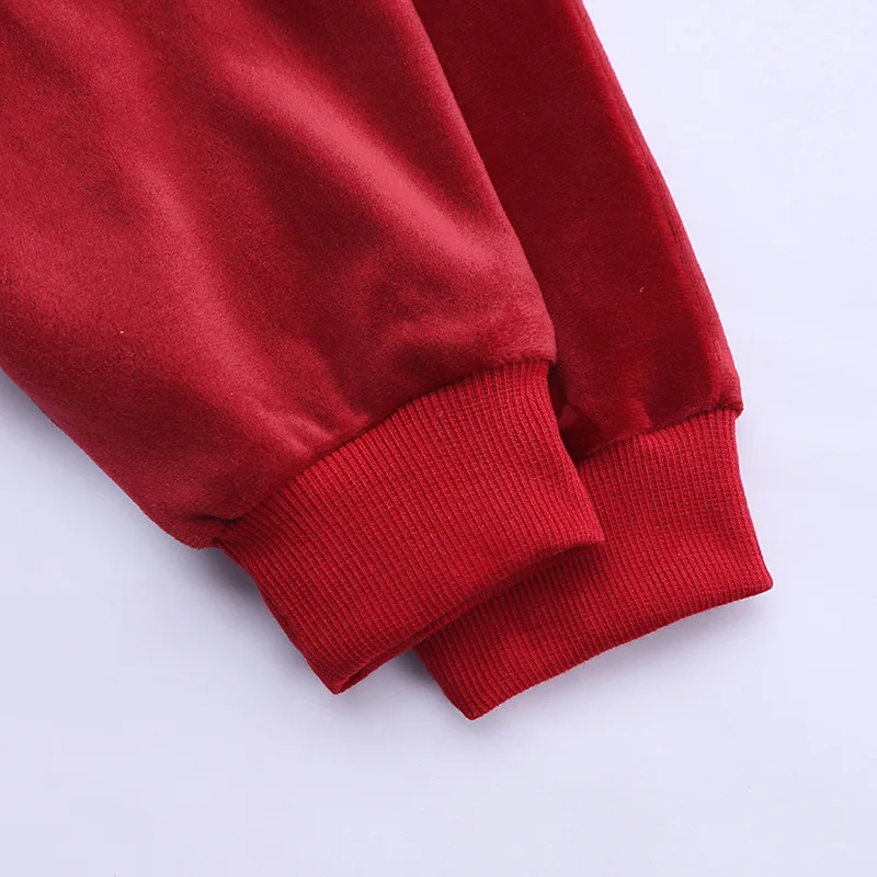 Spring Girls Clothing Sets Kids Gold Velvet Tracksuit Baby Boys Cartoon Hooded Coats Pants Suit Children Sportswear Clothes Set (20)