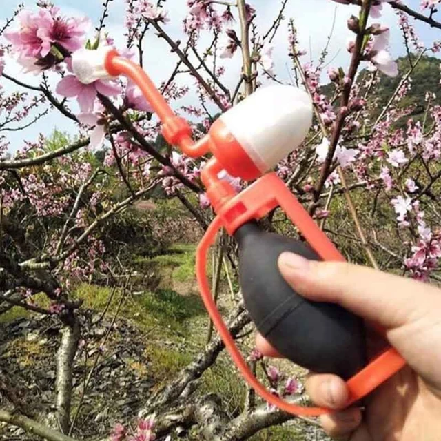 50 Font Paradicsom Beporzó Őszibarack Körte Növényi Virágmás Beporzók Zöldség Dinnye Permetezőgép - Image 6