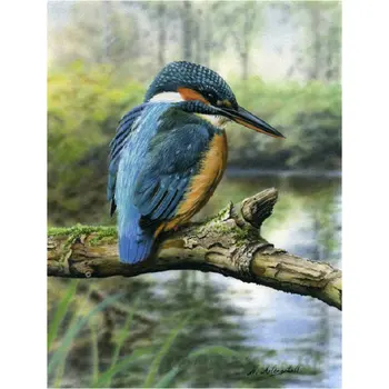 

Full Drill Square Round 5D DIY Diamond Painting Animal kingfisher Diamond Embroidery sale ross Stitch Rhinestone home gift