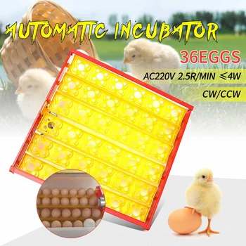 

220V 36 Eggs Incubator Turn Tray Poultry Incubation Equipment Chickens Ducks And Other Poultry Incubator Automatically Turn Eggs