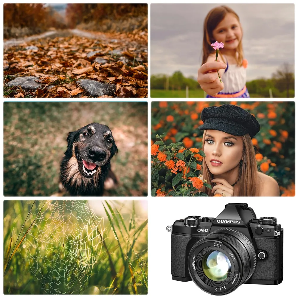 Neewer 35mm f/1.2 Large Aperture Aluminum Wide Angle Lens Manual Focus Prime Fixed APS-C Lens suitable for Olypums Panasonic