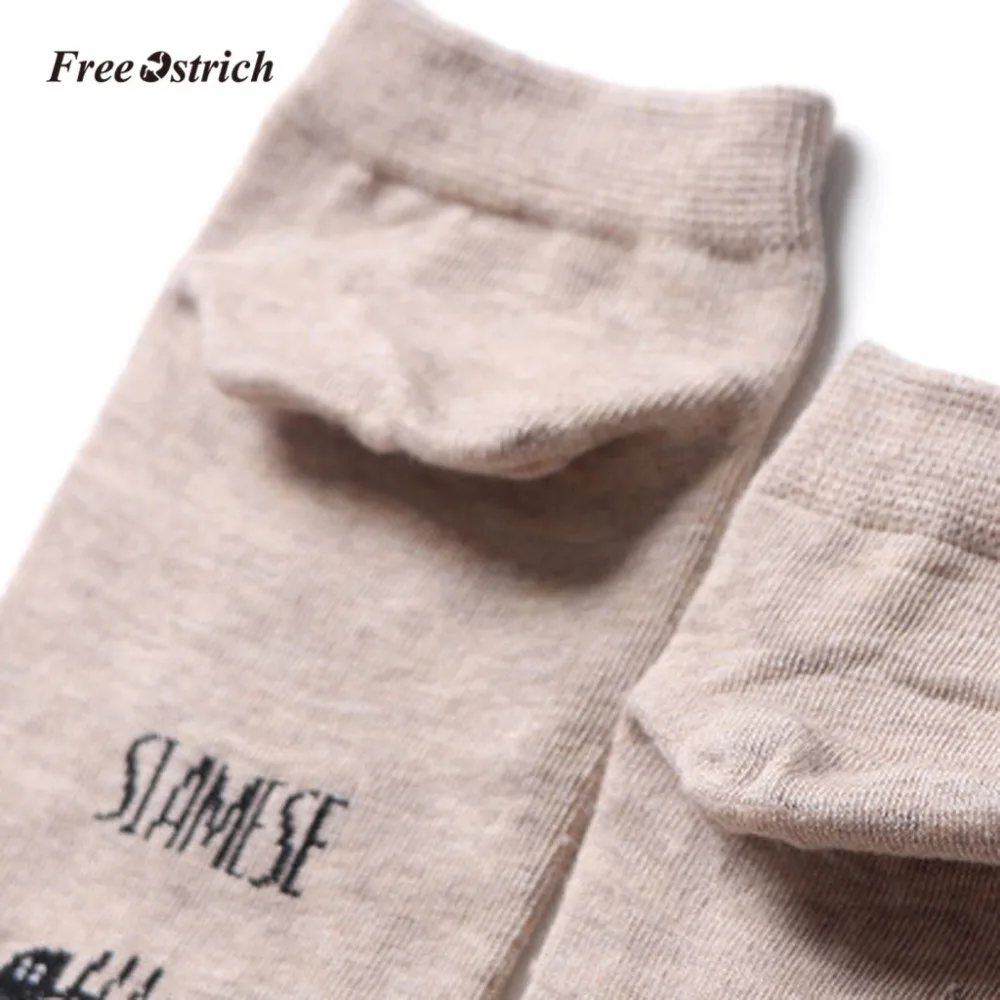 16 - YQT90309192_2019030909451423612