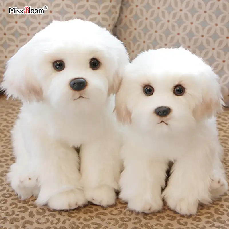 24cm Cute Small White Bichon Frise Stuffed Dog Plush Toy Simulation Pet Fluffy Baby Doll Birthday Children Gift Buy Dropshipping Stuffed Plush Animals Aliexpress