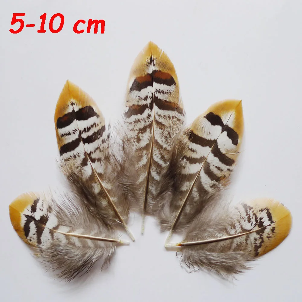 50PCS Natural Pheasant Feathers DIY Crafts Headdress