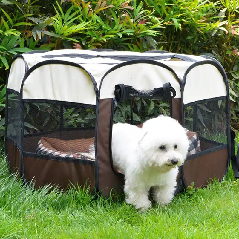 large outdoor dog fence