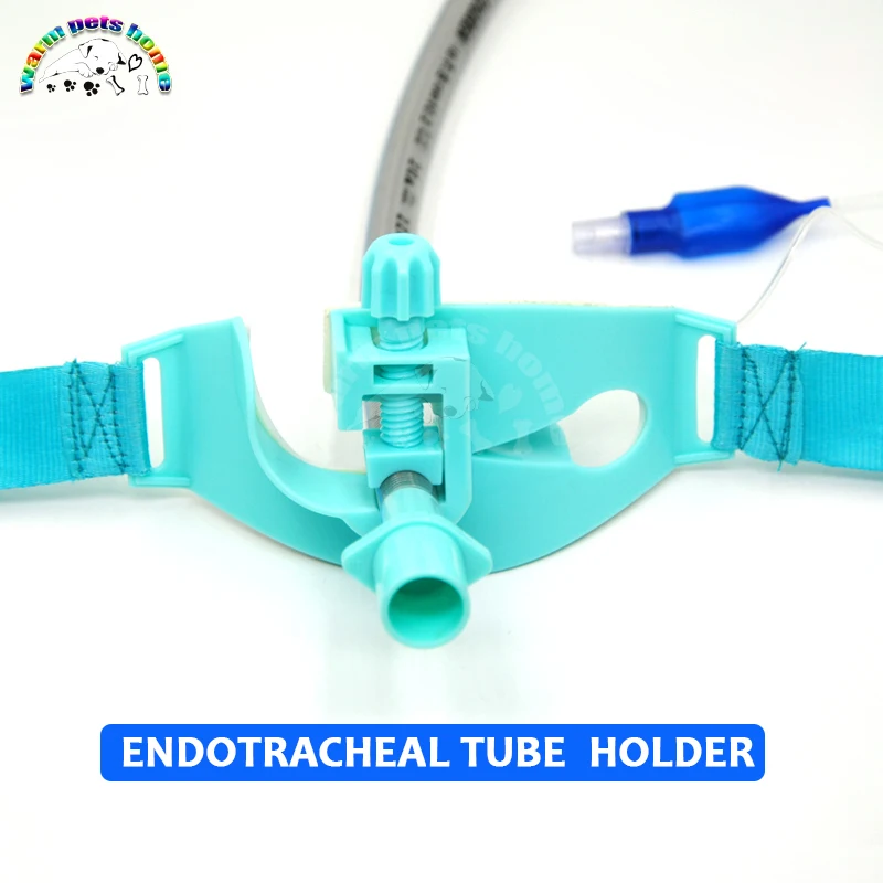 Endotracheal Tube Holder Adult ubicaciondepersonas.cdmx.gob.mx