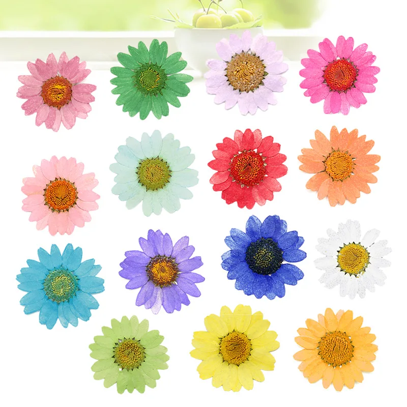 Daisy Flower Plants for Epoxy Resin Jewelry Making 12 Pcs dried flower bouquets,artificial flower,artificial flowers