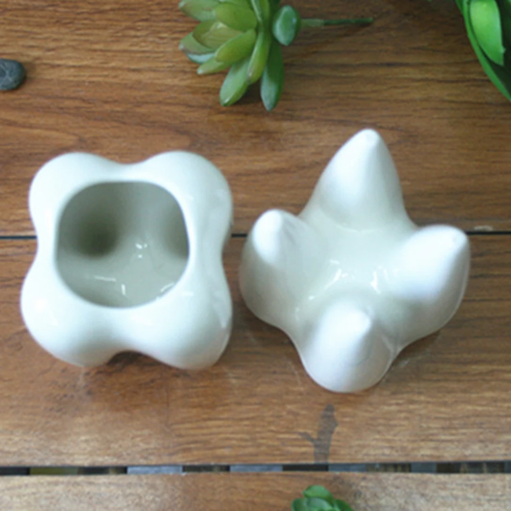 Инновационный белый керамический зуб форма суккулентов цветочный горшок современный дизайн Плантатор корзина ваза декор