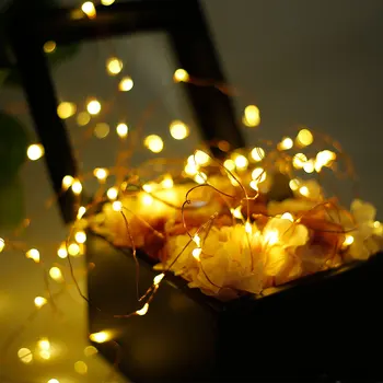 

Battery Powered 50 LEDs Warm White Remote Control Fairy Indoor String Lights For Room Decoration