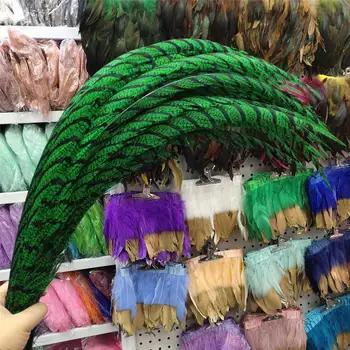 

Wholesale 5pcs Grass Green Lady Amherst Pheasant Feathers 32-36inch/80-90cm DIY Jewelry Craft Making Wedding Decoration