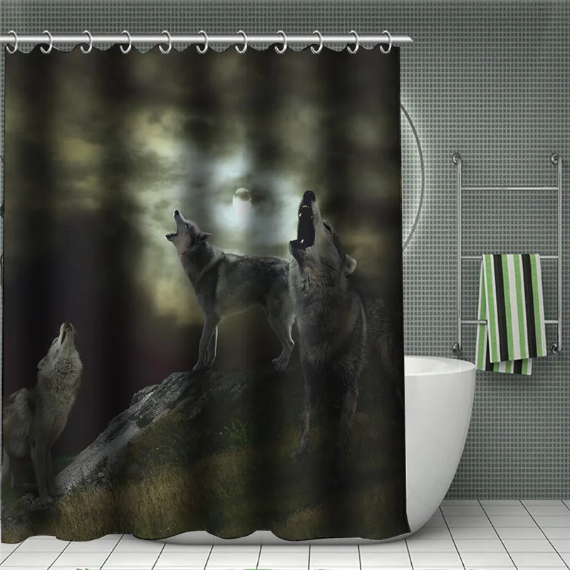 11599116768_1049176339