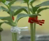 50-500pcs Plastic grafting clips garden vegetable plants Flat and Round M1694 QL ► Photo 3/3