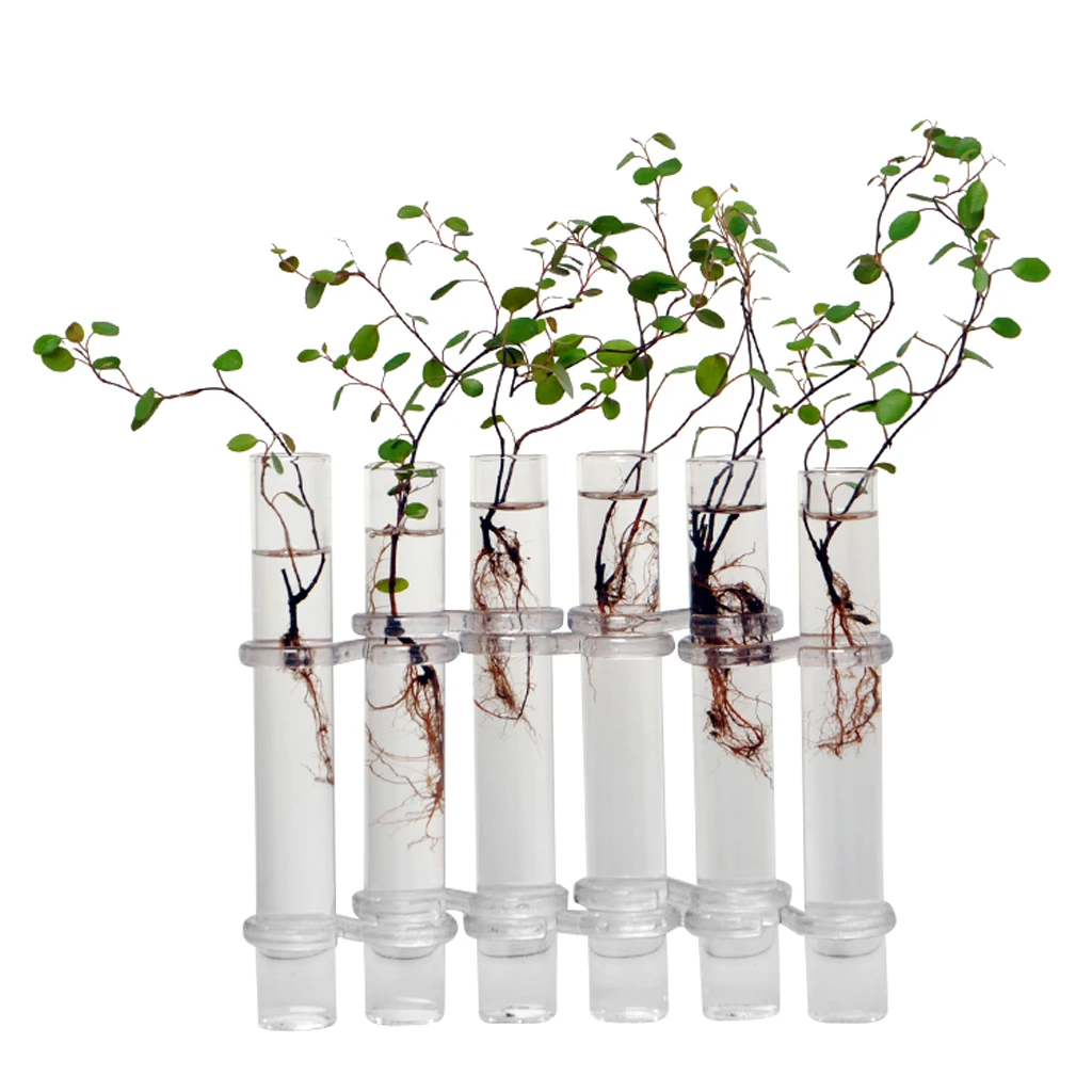 

6 Test Tube Glass Flower Vase, Air Plants Planter Vase Terrarium Container for Office Home Garden Restaurant Wedding Decor