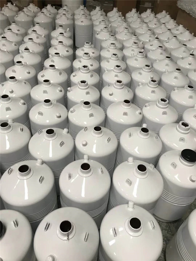 Liquid nitrogen tank (6)