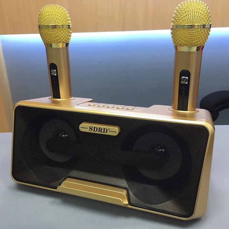SDRD Professional Bluetooth Karaoke Speaker with