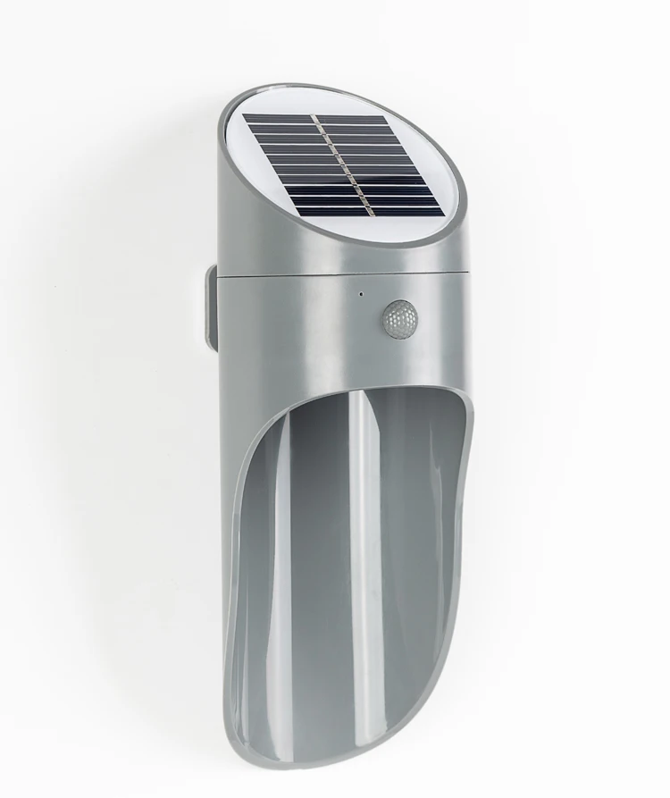 grey shell description