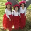 Petite Fille cérémonies Robe bébé enfants vêtements Tutu enfants robes pour filles vêtements Robe de fête de mariage Vestidos Robe Fille ► Photo 3/6