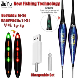 Winter Night Fishing Smart Float Set 1g-3g Carp Pescaria Material De Pesca Tackle Equipamentos Starlight Rechargeable CR425
