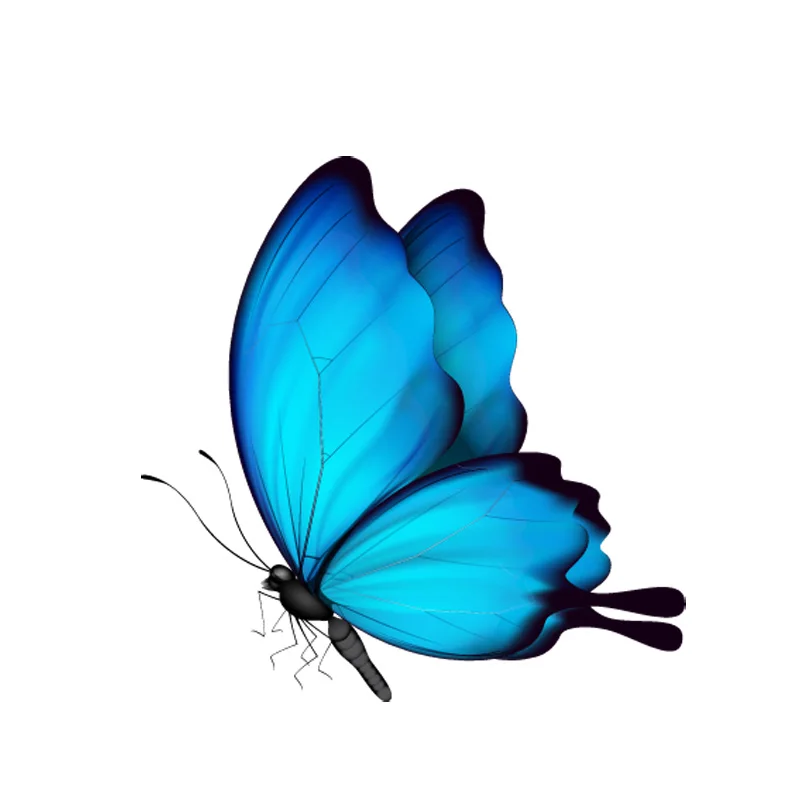 

10CM*10M Cute Decorative Butterfly Decal PVC Motorcycle Car Sticker 11-00652