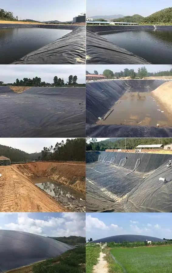 微信截图_20191223114916