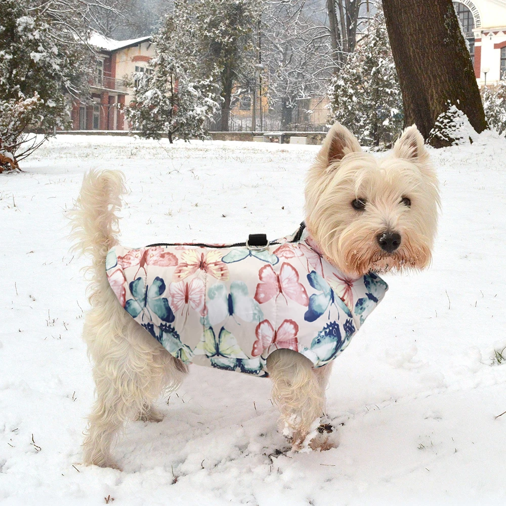 Зимняя одежда для собак, французский бульдог, теплая куртка для питомцев, водонепроницаемая одежда для собак, жилет для маленьких, средних и больших собак