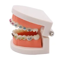 Dental ortodontyczne leczenie Model z Ortho metalowy uchwyt ceramiczny łuk drut tubka dentystyczna podwiązki dentysta narzędzia Lab 4