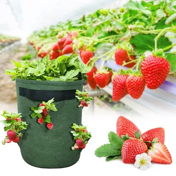 

garden DIY gardening jardin Potato Grow Planter jardineria PE Cloth Planting Container Bag Thicken семена овощей для сада Z4 NEW