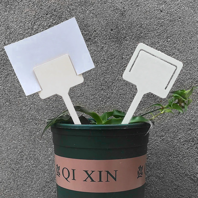 3 шт. карта для цветов садоводства | Дом и - Цена: 88,54 руб.