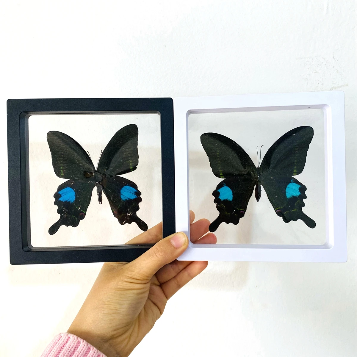 Big Real Butterfly Specimen Holiday Gift Modern Simple Creative Desktop Decoration Picture Frame Specimen Birthday Gift Home Dec